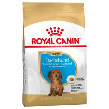 1,5 kg Royal Canin Dachshund Puppy száraz kutyatáp kép