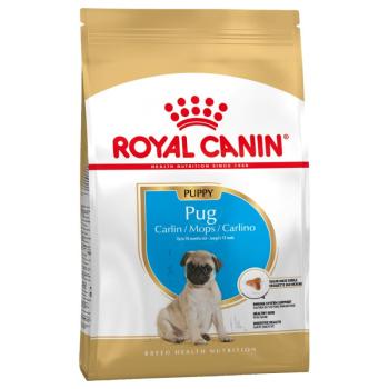 1,5 kg Royal Canin Mopsz Puppy száraz kutyatáp kép