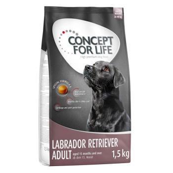 1,5kg Concept for Life Labrador Retriever Adult száraz kutyatáp kép