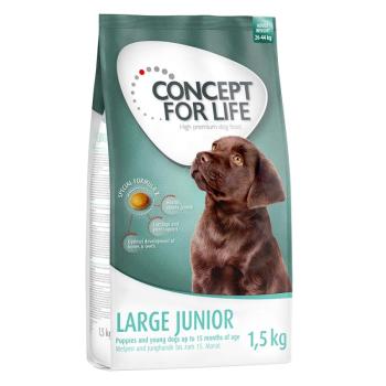 1,5kg Concept for Life Large Junior száraz kutyatáp kép