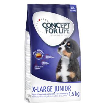 1,5kg Concept for Life X-Large Junior száraz kölyökkutyatáp kép