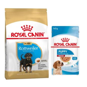 10/12 kg Royal Canin Breed Puppy száraztáp+10 x 140g nedvestáp ingyen! - Rottweiler Puppy (12 kg) + Medium Puppy nedvestáp kép