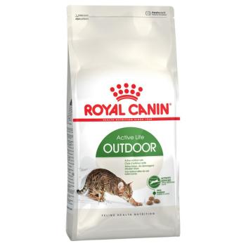 10 kg Royal Canin Active Life Outdoor száraz macskaeledel kép