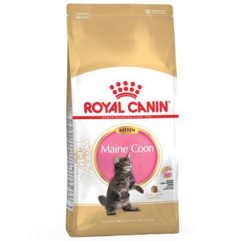 10 kg Royal Canin Maine Coon Kitten kép