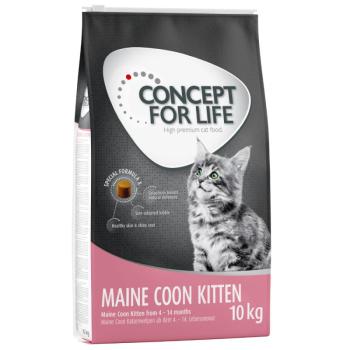 10g Concept for Life Maine Coon Kitten - javított receptúrájú száraz macskatáp kép