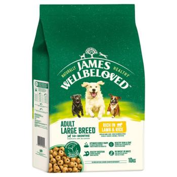 10kg James Wellbeloved Adult Large Breed Dog Hypoallergenic bárány & rizs száraz kutyatáp kép