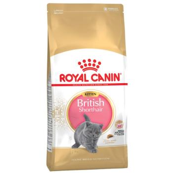 10kg Royal Canin British Shorthair Kitten száraz macskatáp kép