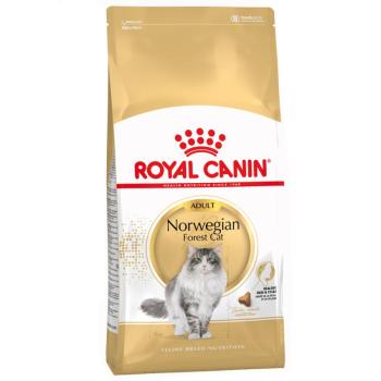 10kg Royal Canin Norwegian Forest Cat Adult száraz macskatáp kép