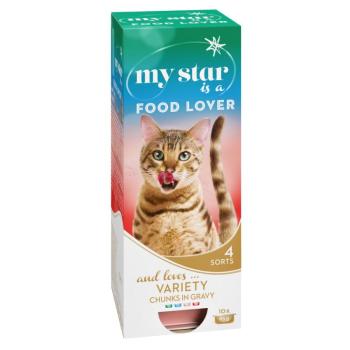 10x85g My Star is a Food Lover nedves macskatáp vegyes csomag 4 fajtával kép