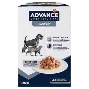 11x100g Advance Veterinary Diets Recovery nedveseledel kutyáknak, macskáknak kép