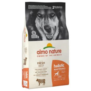 12 kg Almo Nature Holistic Large Adult kutyatáp - Marha & rizs kép