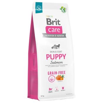 12kg Brit Care Dog Grain-Free Puppy Salmon & Potato száraz kutyatáp kép