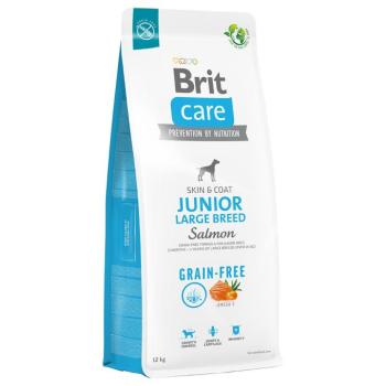 12kg Brit Care Grain-Free Junior Large Breed Salmon & Potato száraz kutyatáp kép