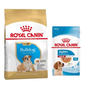 12kg Royal Canin Bulldog Puppy száraz kutyatáp+10x140g Medium nedvestáp ingyen kép