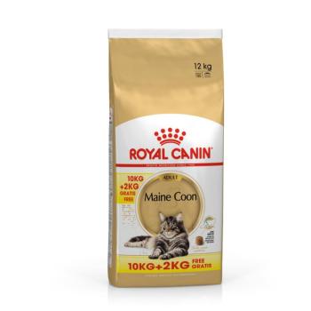 12kg Royal Canin Feline Maine Coon Adult száraz macskatáp 10+2kg ingyen kép