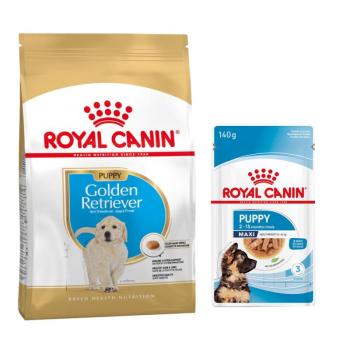 12kg Royal Canin Golder Retriever Puppy száraz kutyatáp+10x140g Puppy nedvestáp ingyen kép