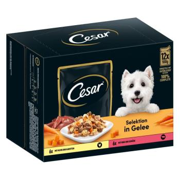 12x100g Cesar Hús- és zöldségválogatás aszpikban nedves kutyatáp 20% kedvezménnyel kép