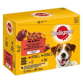 12x100g Pedigree Adult aszpikban nedves kutyatáp kép