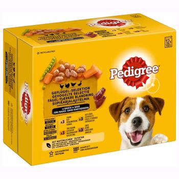 12x100g Pedigree Adult szárnyas mix szószban nedves tasakos kutyatáp kép