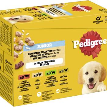 12x100g Pedigree Junior nedvestáp vegyesen kölyökkutyáknak kép