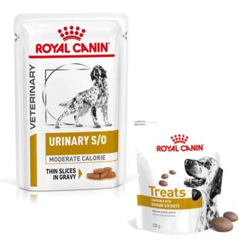 12x100g Royal Canin Veterinary Urinary nedves kutyatáp+3x snack ingyen kép