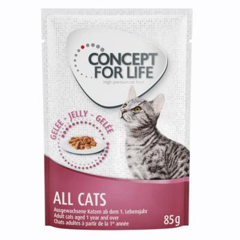 12x85g Concept for Life All Cats aszpikban-  száraztáphoz kiegészítés kép