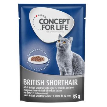 12x85g Concept for Life British Shorthair Adult  nedvestáp-  száraztáphoz kiegészítés kép