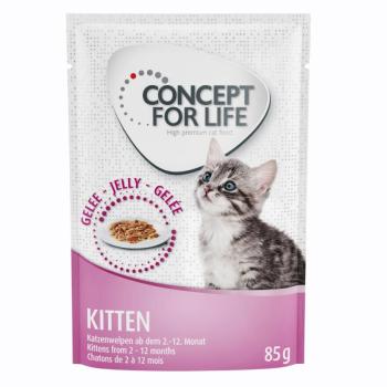 12x85g Concept for Life Kitten aszpikban nedves macskatáp kép