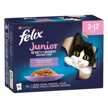 12x85g Felix Fantastic Junior csirke, marha, lazac, szardínia nedves macskatáp kép