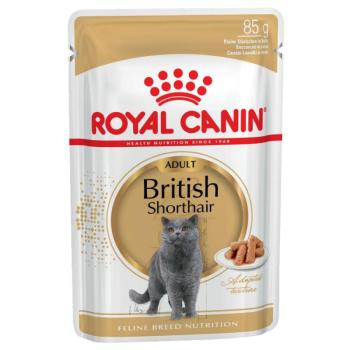 12x85g Royal Canin British Shorthair szószban nedves macskatáp kép