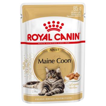 12x85g Royal Canin Maine Coon szószban nedves macskatáp kép