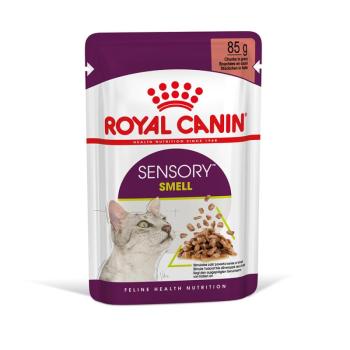 12x85g Royal Canin Sensory Smell szószban nedves macskatáp kép