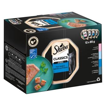 12x85g Sheba Classics pástétomban tálcás nedves macskatáp kép