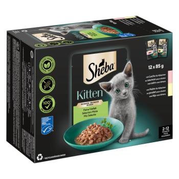 12x85g Sheba Kitten finom változatosság szószban nedves macskaeledel kép