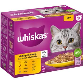 12x85g Whiskas 1+ szárnyasválogatás aszpikban nedves macskatáp kép