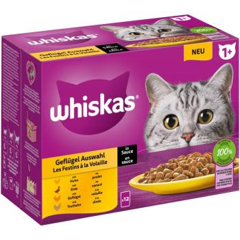 12x85g Whiskas 1+ szárnyasválogatás szószban nedves macskatáp kép