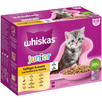 12x85g Whiskas Junior szárnyasválogatás aszpikban nedves macskatáp 9+3 ingyen kép