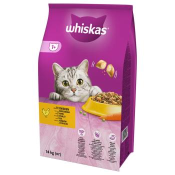 14kg Whiskas 1+ csirke száraz macskatáp kép