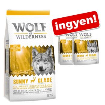 14kg Wolf of Wilderness Adult Green Fields bárány (Soft & Strong) száraz kutyatáp 12+2 ingyen kép