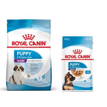 15kg Royal Canin Giant Puppy száraz kutyatáp+10x140g Maxi Puppy nedves kutyatáp ingyen kép