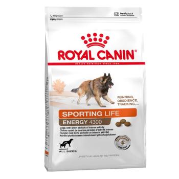 15kg Royal Canin Sporting Life Energy Trail 4300 száraz kutyatáp kép