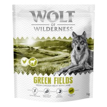 1kg Wolf of Wilderness Senior 'Green Fields' bárány - gabonamentes száraz kutyatáp kép