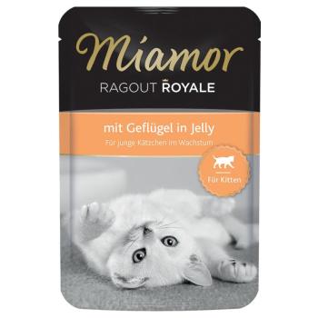 22x100g Miamor Ragout Royale Kitten szárnyas nedves macskatáp kép