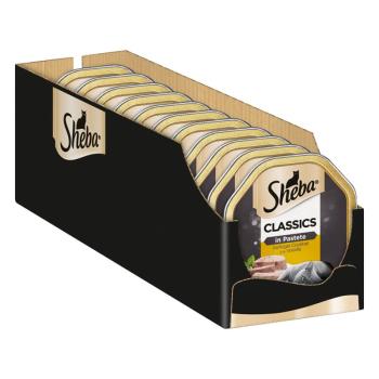 22x85g Sheba Classics pástétomban szárnyaskoktél nedves macskatáp kép