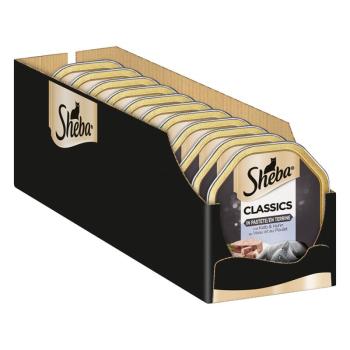 22x85g Sheba tálcás nedves macskatáp megapackban - Classics pástétomban borjú & csirke kép