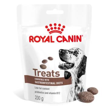 230g Royal Canin Gastrointestinal Snack kutyáknak kép