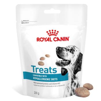 230g Royal Canin Hypoallergenic Snacks étrend-kiegészítő eledel kutyáknak kép