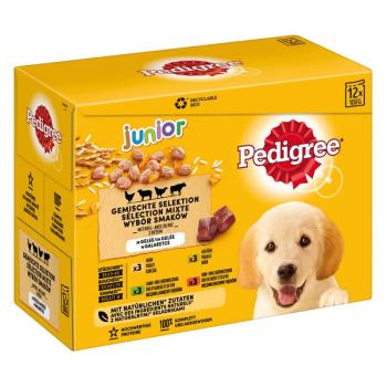 24 x 100 g Pedigree Junior tasakos nedvestáp aszpikban kölyökkutyáknak kép