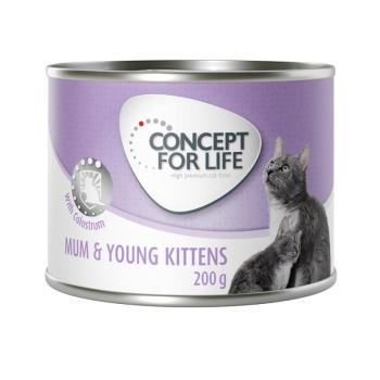 24x200g Concept for Life Mum & Young Kittens Mousse nedves konzerv macskatáp kiscicáknak kép