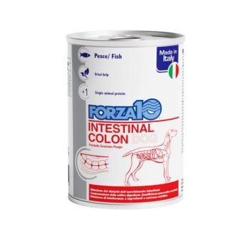 24x390g Forza 10 Intestinal Colon nedves kutyaeledel kép